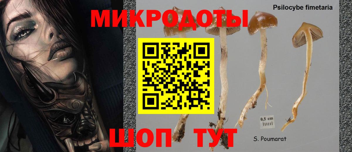 Нижний Тагил  Псилоцибиновые грибы GOLDEN TEACHER  Вход с VPN 